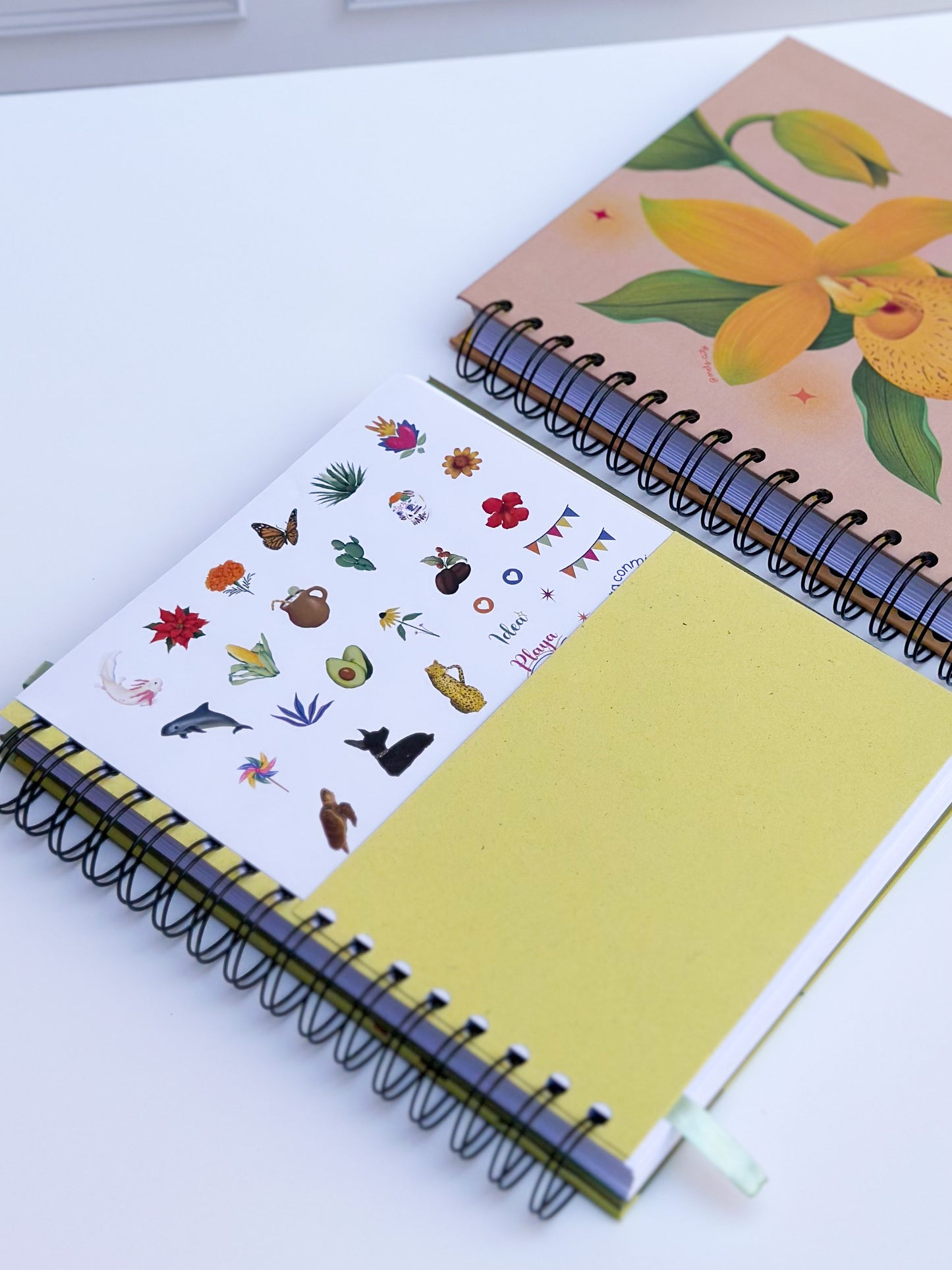 Libreta de notas Yeyé