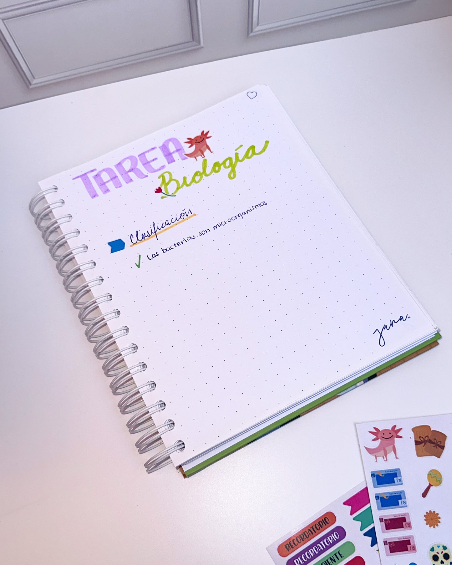 Libreta de notas "Paletas en el parque"