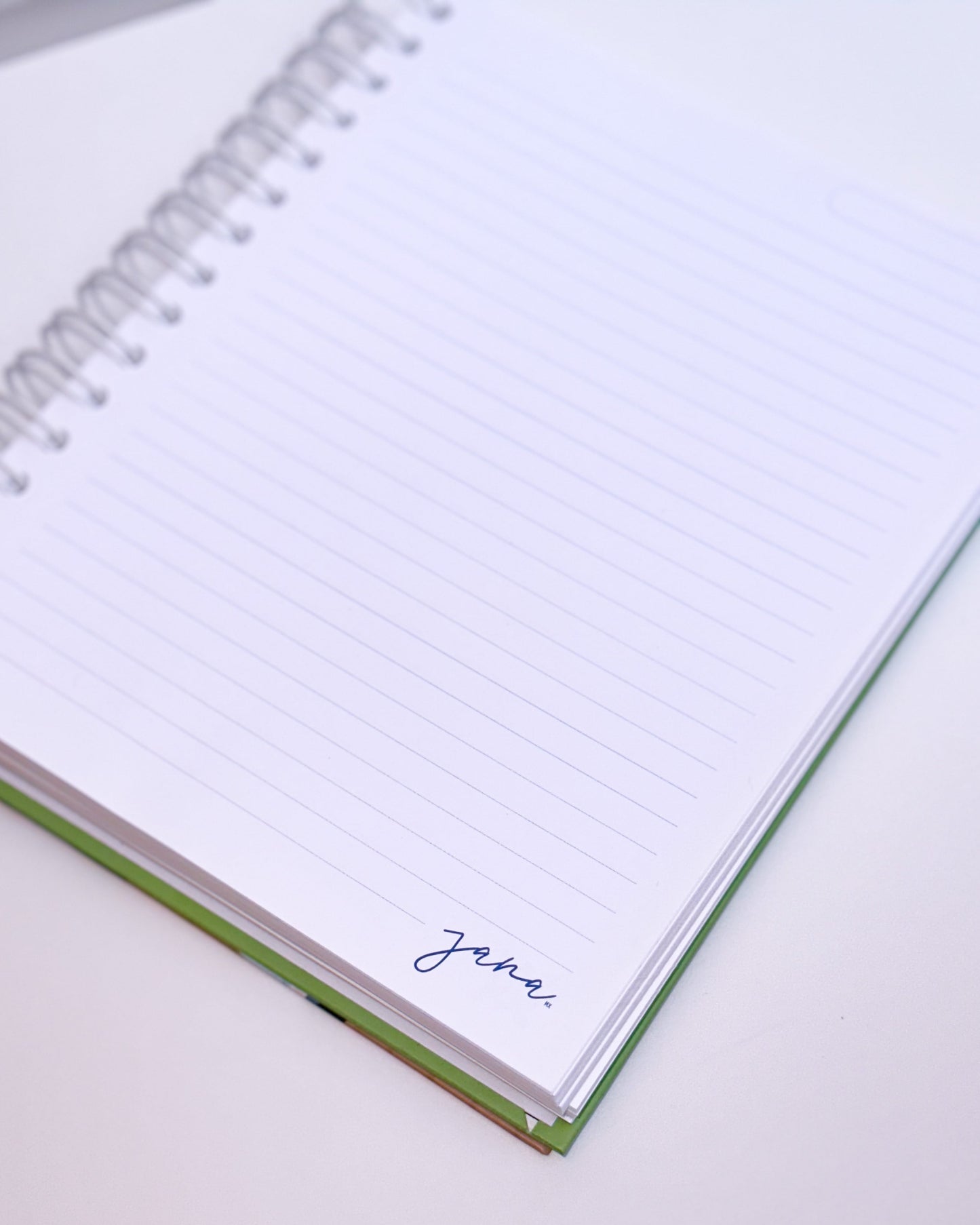 Libreta de notas "Paletas en el parque"