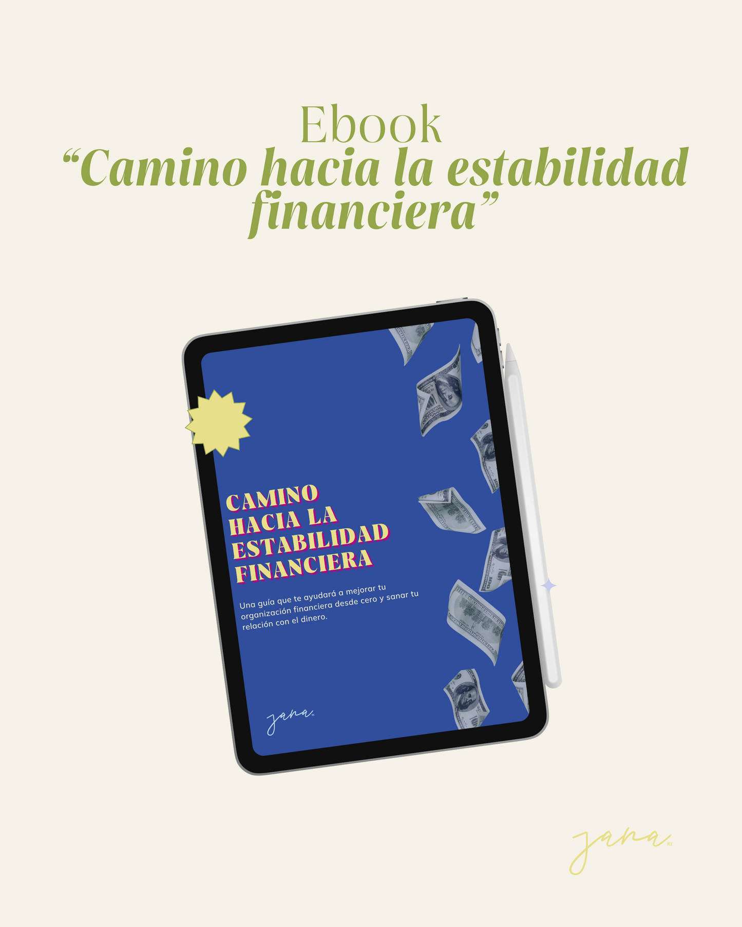 Ebook - Camino hacia la estabilidad financiera