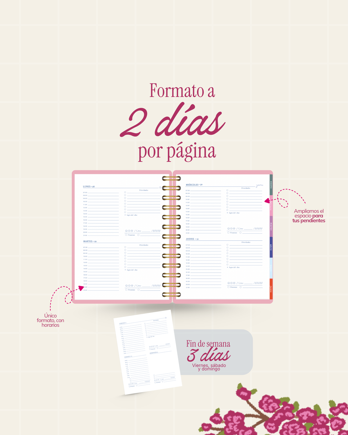 Agenda RENACER 2027 | Preventa