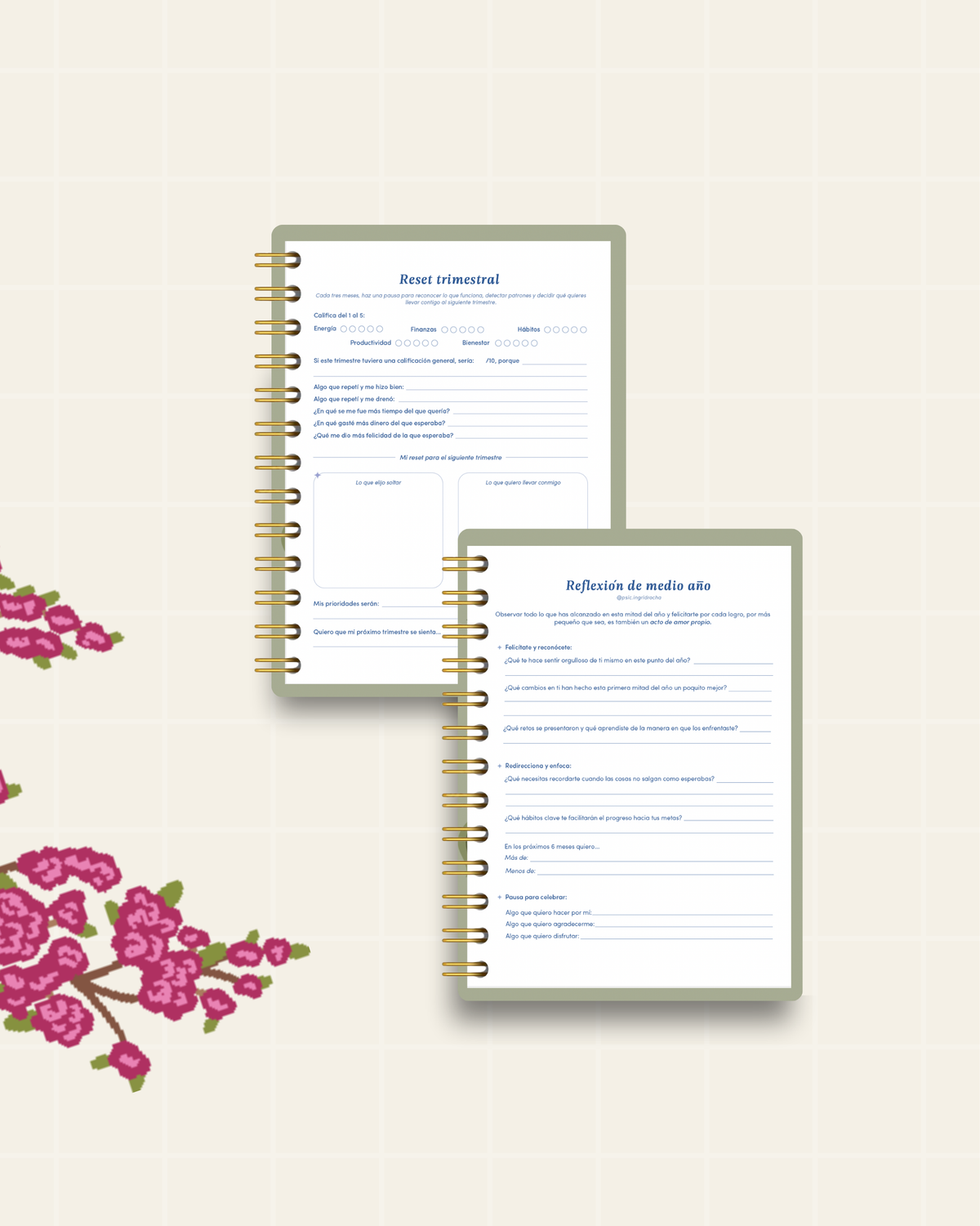 Agenda RENACER 2027 | Preventa