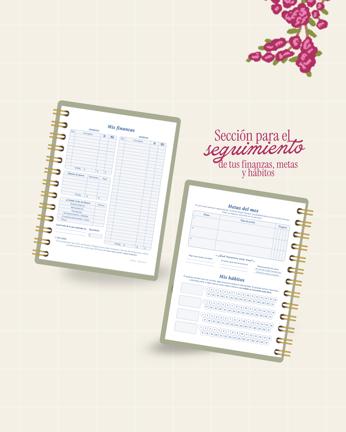 Agenda RENACER 2027 | Preventa